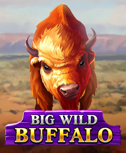 Play Big Wild Buffalo at Sts Bet Casino